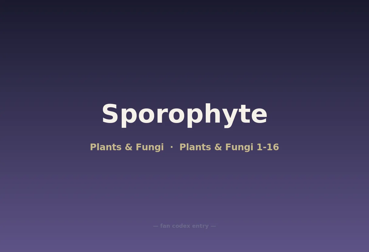 Sporophyte