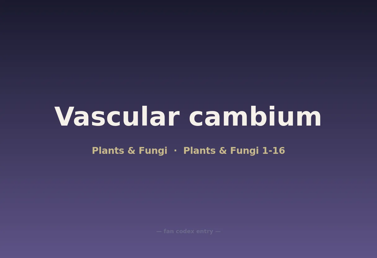 Vascular cambium