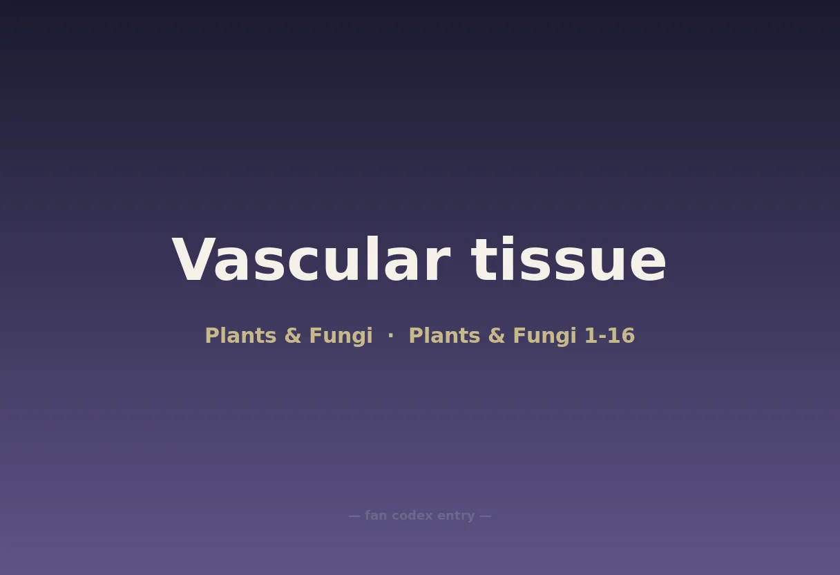 Vascular tissue